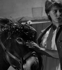 Chú Lừa Balthazar