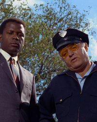 Sức Nóng Màn Đêm