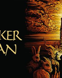 Hình Nhân Liễu Gai