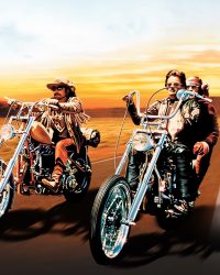 Tay Lái Nổi Loạn