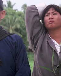 Võ Thiếu Lâm Hoàng Phi Hồng