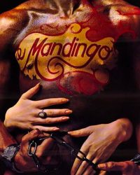 Mandingo